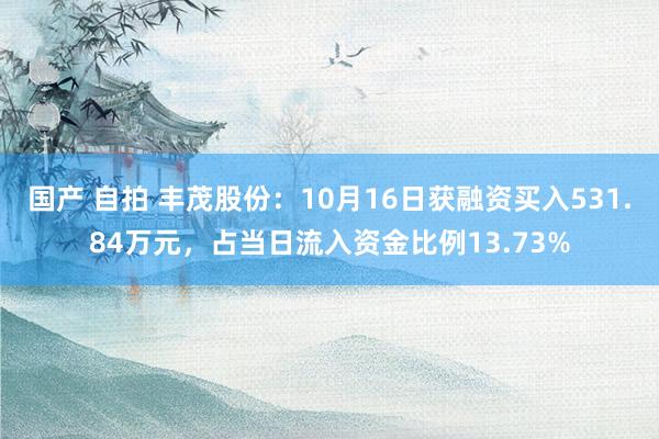 国产 自拍 丰茂股份：10月16日获融资买入531.84万元，占当日流入资金比例13.73%