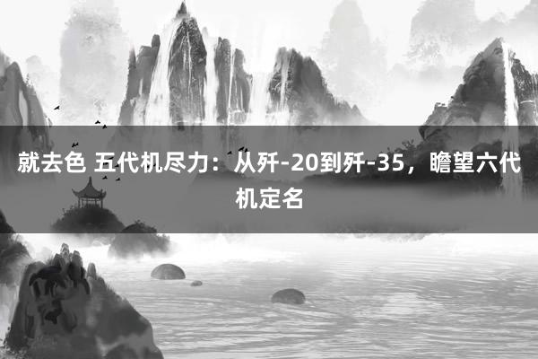 就去色 五代机尽力：从歼-20到歼-35，瞻望六代机定名