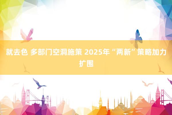 就去色 多部门空洞施策 2025年“两新”策略加力扩围