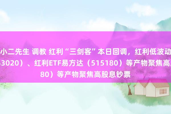 小二先生 调教 红利“三剑客”本日回调，红利低波动ETF（563020）、红利ETF易方达（515180）等产物聚焦高股息钞票