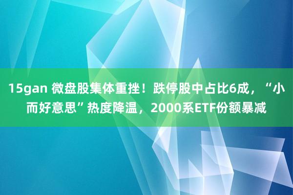 15gan 微盘股集体重挫！跌停股中占比6成，“小而好意思”热度降温，2000系ETF份额暴减
