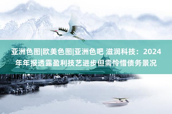 亚洲色图|欧美色图|亚洲色吧 滋润科技：2024年年报透露盈利技艺进步但需怜惜债务景况
