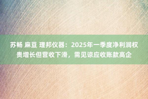 苏畅 麻豆 理邦仪器：2025年一季度净利润权贵增长但营收下滑，需见谅应收账款高企