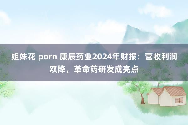 姐妹花 porn 康辰药业2024年财报：营收利润双降，革命药研发成亮点