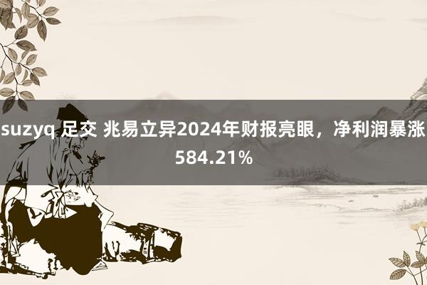 suzyq 足交 兆易立异2024年财报亮眼，净利润暴涨584.21%