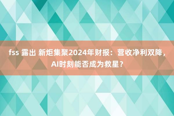 fss 露出 新炬集聚2024年财报：营收净利双降，AI时刻能否成为救星？