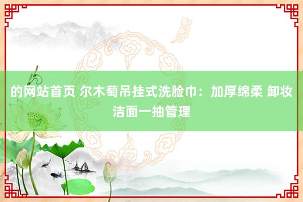 的网站首页 尔木萄吊挂式洗脸巾：加厚绵柔 卸妆洁面一抽管理